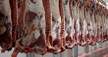Carnes: Se esperan precios entre 30% y 40% inferiores para el 2023