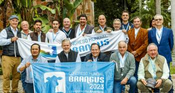 Elogios internacionales para el Brangus Argentino